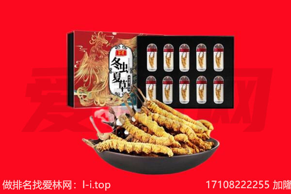 巴彦淖尔市乌拉特后旗回收虫草.jpg